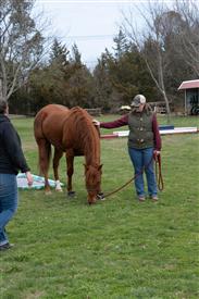 LR-WRF 0402026 Retreat-3591